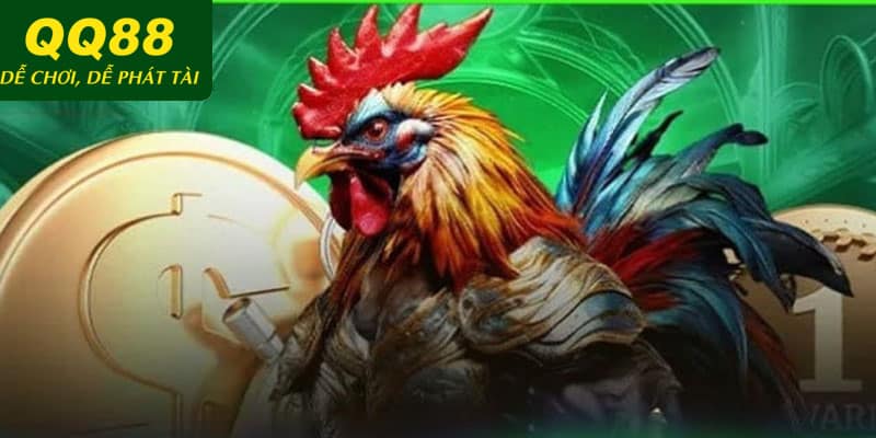 Đôi nét về sảnh đá gà trực tiếp có tại nhà cái QQ88